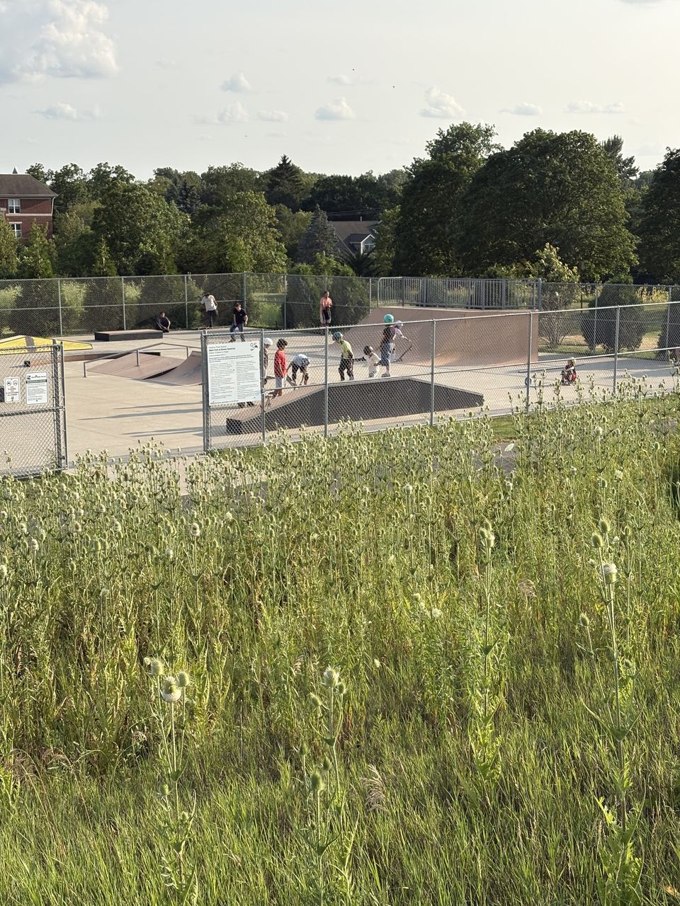 Palatine Prairie Skatepark and ramps seen across the prairie grass at Riemer Reservoir Park